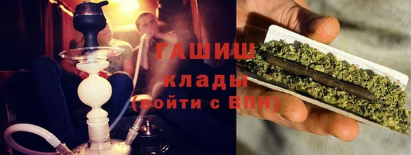 сатива Покачи