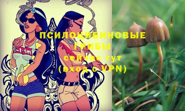 круглые Богданович