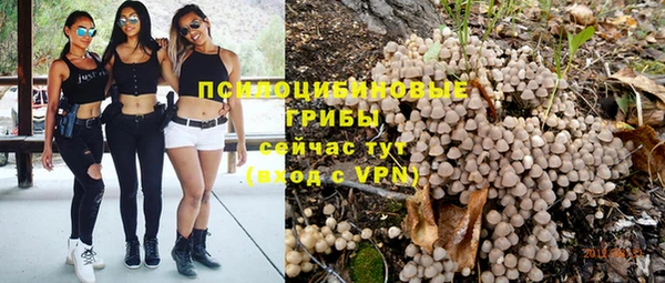 круглые Богданович